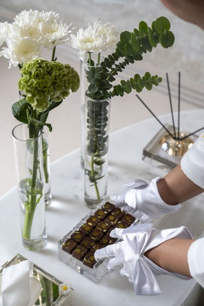  استقبال رقم 4